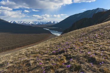 Река Индигирка — Река Индигирка — фотограф Владимир Рябков