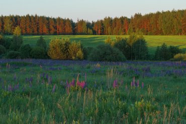 Нижегородская область — Нижегородская область — фотограф Владимир Рябков