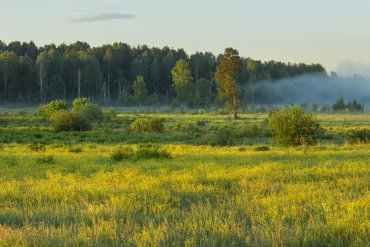 Нижегородская область — Нижегородская область — фотограф Владимир Рябков