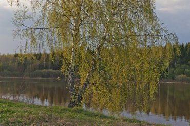 Подмосковье — Подмосковье — фотограф Владимир Рябков