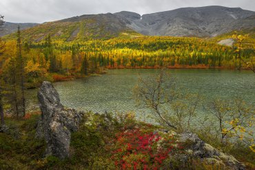 Хибины-Кандалакша 2019 — Золотая осень Кольского полуострова — фотограф Владимир Рябков