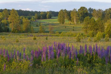 Нижегородская область — Нижегородская область — фотограф Владимир Рябков