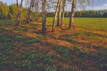Нижегородская область — Нижегородская область — фотограф Владимир Рябков