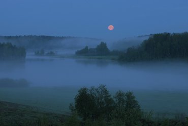Подмосковье — Подмосковье — фотограф Владимир Рябков