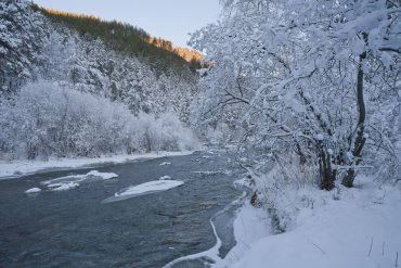 Алтай — Алтай — фотограф Владимир Рябков
