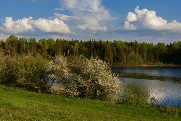 Андреапольские озера — Андреапольские озера — фотограф Владимир Рябков