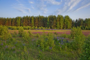 Нижегородская область — Нижегородская область — фотограф Владимир Рябков