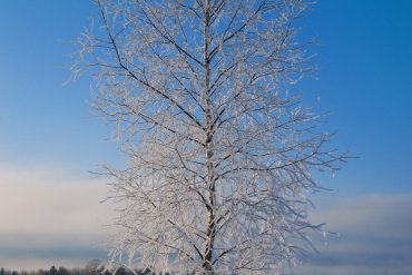 Нижегородская область — Нижегородская область — фотограф Владимир Рябков