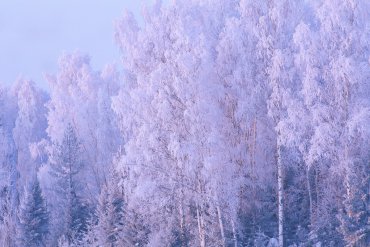 Нижегородская область — Нижегородская область — фотограф Владимир Рябков