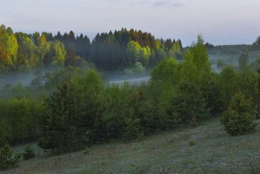 Андреапольские озера — Андреапольские озера — фотограф Владимир Рябков