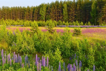 Нижегородская область — Нижегородская область — фотограф Владимир Рябков