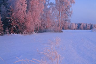Нижегородская область — Нижегородская область — фотограф Владимир Рябков