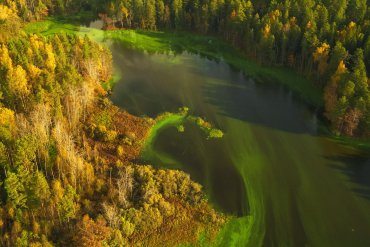 Озеро Селигер — Озеро Селигер — фотограф Владимир Рябков