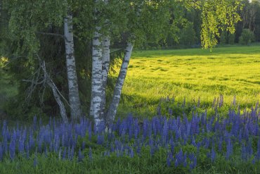 Нижегородская область — Нижегородская область — фотограф Владимир Рябков