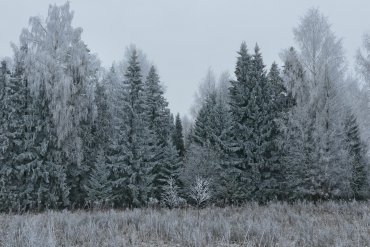 Нижегородская область — Нижегородская область — фотограф Владимир Рябков