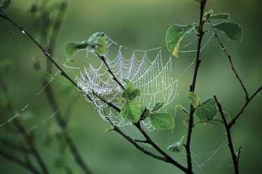 Нижегородская область — Нижегородская область — фотограф Владимир Рябков