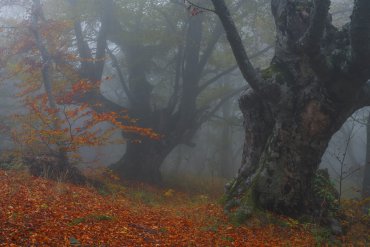 Фототур в Крым на зимние каникулы — Фототур в Крым на зимние каникулы 2017 — фотограф Владимир Рябков