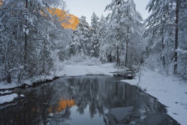 Алтай — Алтай — фотограф Владимир Рябков