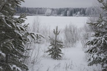 Нижегородская область — Нижегородская область — фотограф Владимир Рябков