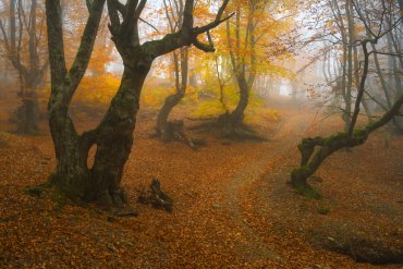 Фототур в Крым на зимние каникулы — Фототур в Крым на зимние каникулы 2017 — фотограф Владимир Рябков