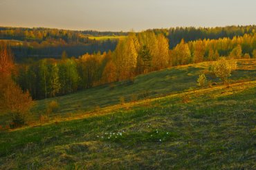 Андреапольские озера — Андреапольские озера — фотограф Владимир Рябков