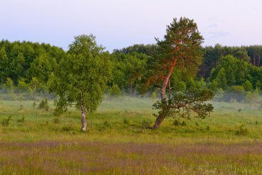 Нижегородская область — Нижегородская область — фотограф Владимир Рябков