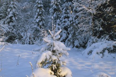 Нижегородская область — Нижегородская область — фотограф Владимир Рябков