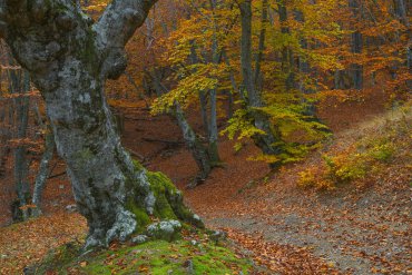 Фототур в Крым на зимние каникулы — Фототур в Крым на зимние каникулы 2017 — фотограф Владимир Рябков