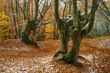 Фототур в Крым на зимние каникулы — Фототур в Крым на зимние каникулы 2017 — фотограф Владимир Рябков
