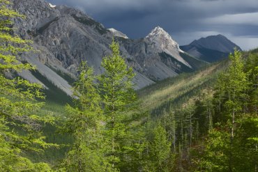 Река Омулевка — Река Омулевка — фотограф Владимир Рябков