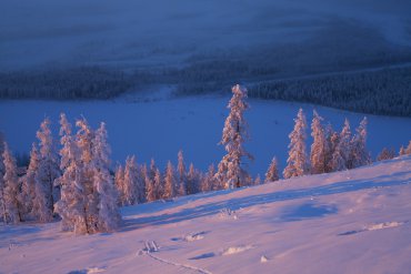 Якутия (От -40 до -60) — Якутия — фотограф Владимир Рябков