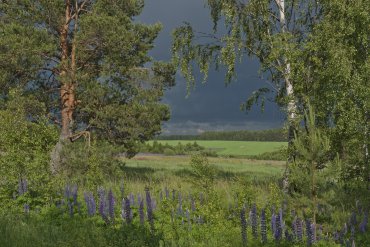 Нижегородская область — Нижегородская область — фотограф Владимир Рябков