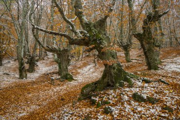 Фототур в Крым на зимние каникулы — Фототур в Крым на зимние каникулы 2017 — фотограф Владимир Рябков