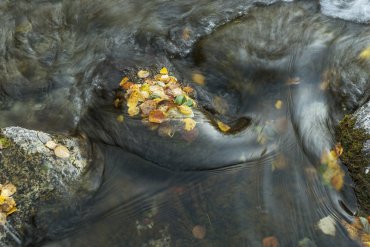 Хибины-Кандалакша 2019 — Золотая осень Кольского полуострова — фотограф Владимир Рябков