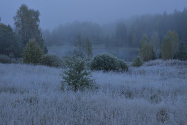 Андреапольские озера — Андреапольские озера — фотограф Владимир Рябков