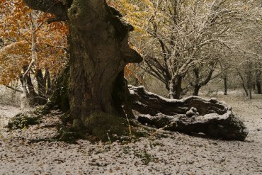 Фототур в Крым на зимние каникулы — Фототур в Крым на зимние каникулы 2017 — фотограф Владимир Рябков