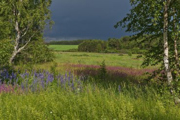 Нижегородская область — Нижегородская область — фотограф Владимир Рябков