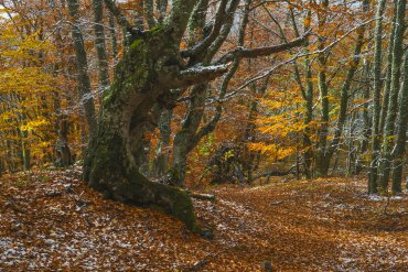 Фототур в Крым на зимние каникулы — Фототур в Крым на зимние каникулы 2017 — фотограф Владимир Рябков