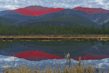 Река Индигирка — Река Индигирка — фотограф Владимир Рябков