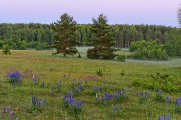 Нижегородская область — Нижегородская область — фотограф Владимир Рябков