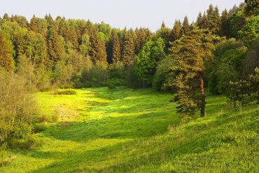 Подмосковье — Подмосковье — фотограф Владимир Рябков