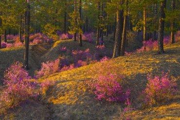 Забайкальский край — фотограф Владимир Рябков