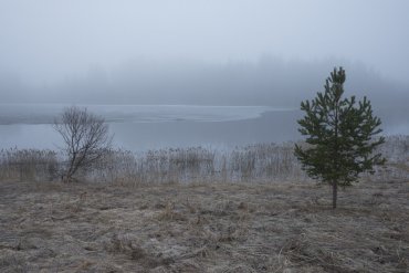 Андреапольские озера — Андреапольские озера — фотограф Владимир Рябков