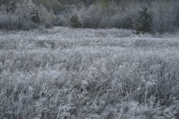 Нижегородская область — Нижегородская область — фотограф Владимир Рябков