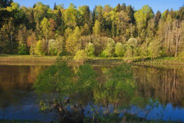 Подмосковье — Подмосковье — фотограф Владимир Рябков