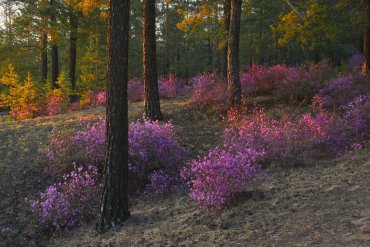 Забайкальский край — Забайкальский край — фотограф Владимир Рябков