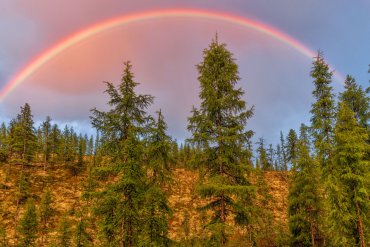 Сплав по Омулёвке 2018 — Фототур «Сплав по Омулёвке». Лето 2018 — фотограф Владимир Рябков