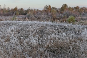 Нижегородская область — Нижегородская область — фотограф Владимир Рябков