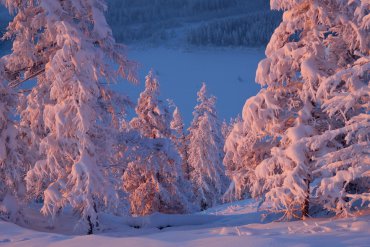 Якутия (От -40 до -60) — Якутия — фотограф Владимир Рябков