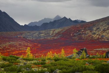 Озеро Джека Лондона — Фототур на озеро Джека Лондона 2017 — фотограф Владимир Рябков